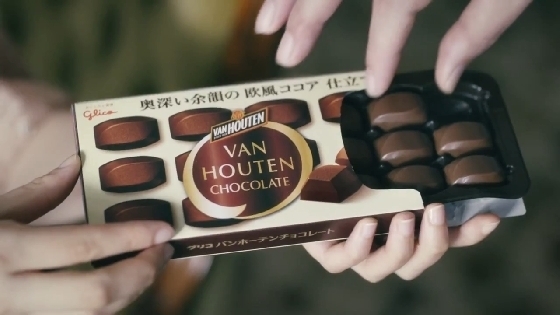 vanhoutenchoco18.JPG